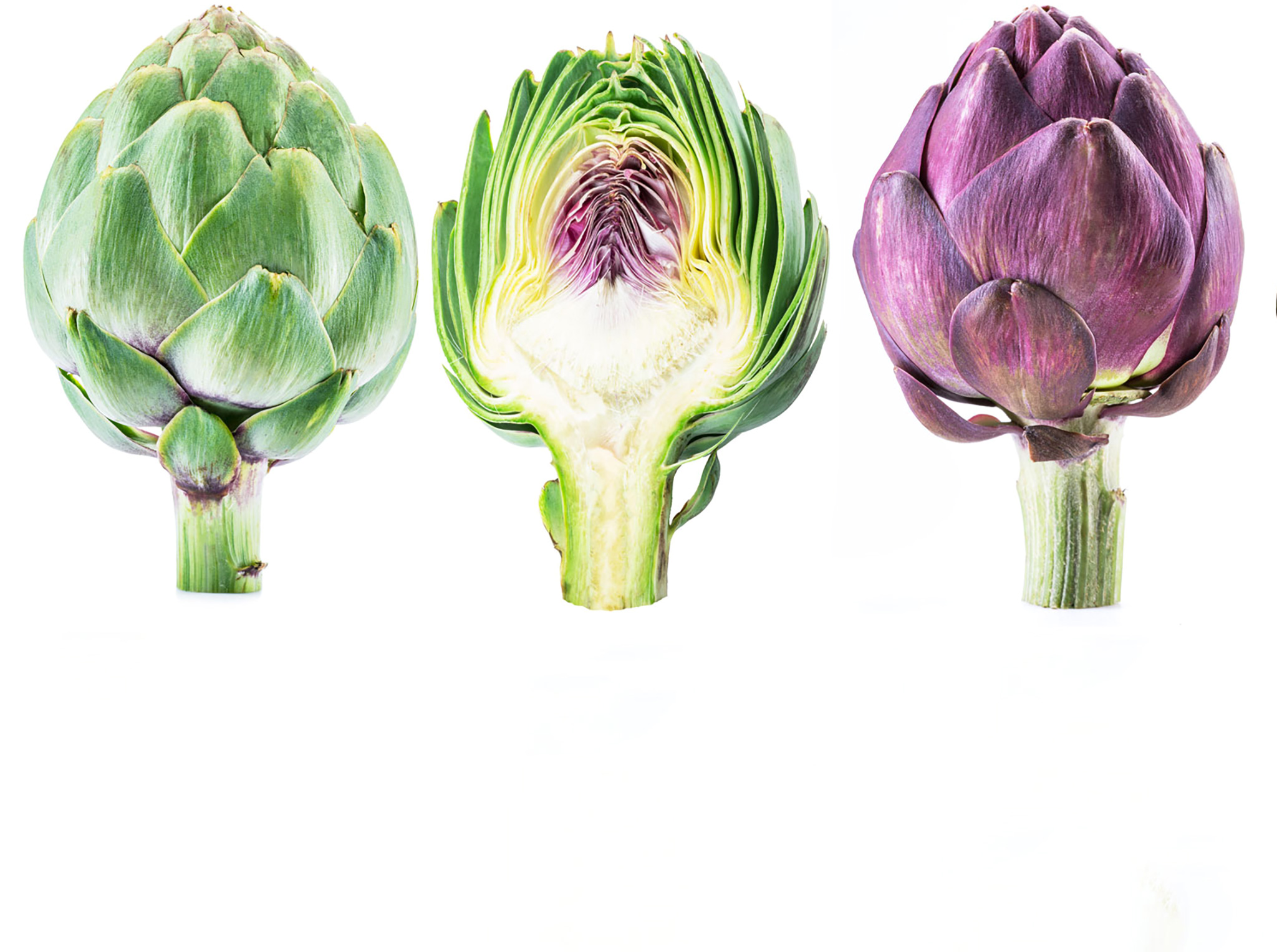 PerfectFood/Shutterstock.com