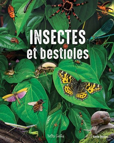 Insectes et bestioles.jpg