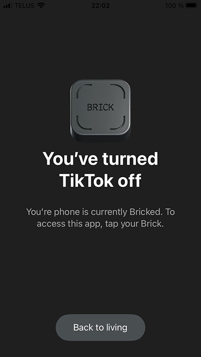 Brick_13.jpg