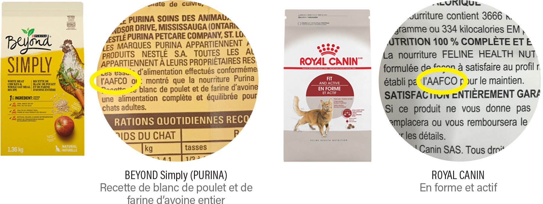nourriture-chat-2