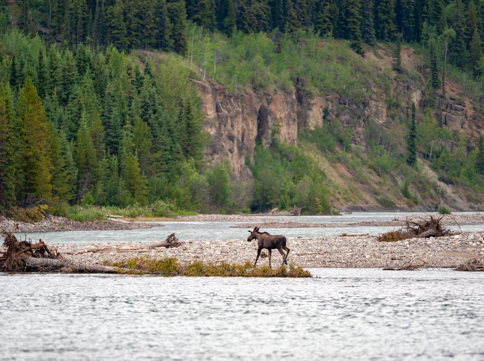 Stikine.jpg