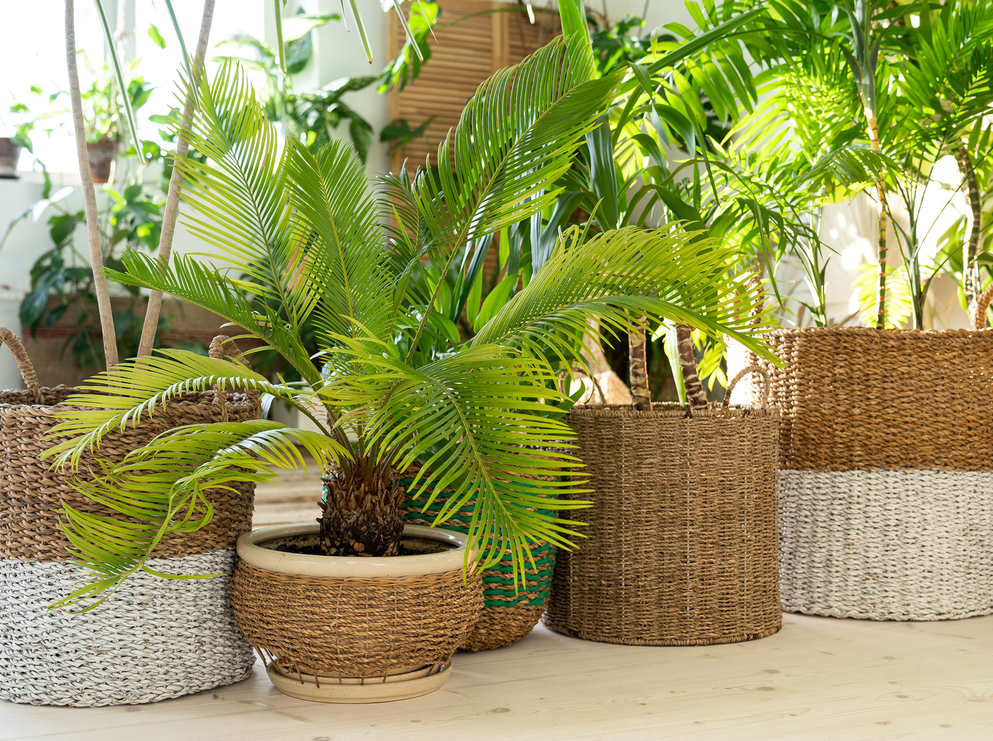 shutterstock_1942297441.jpg