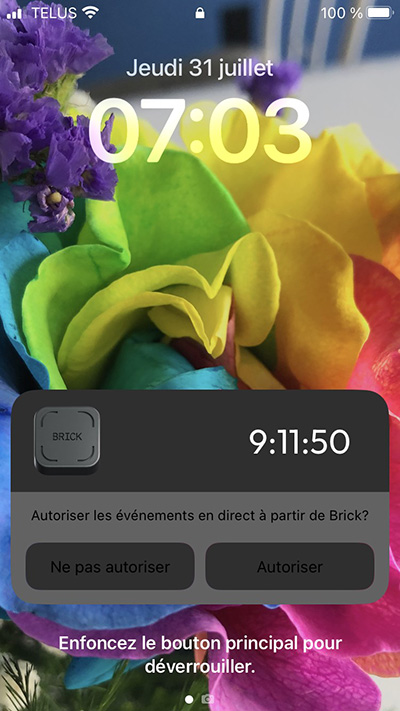 Brick_12.jpg