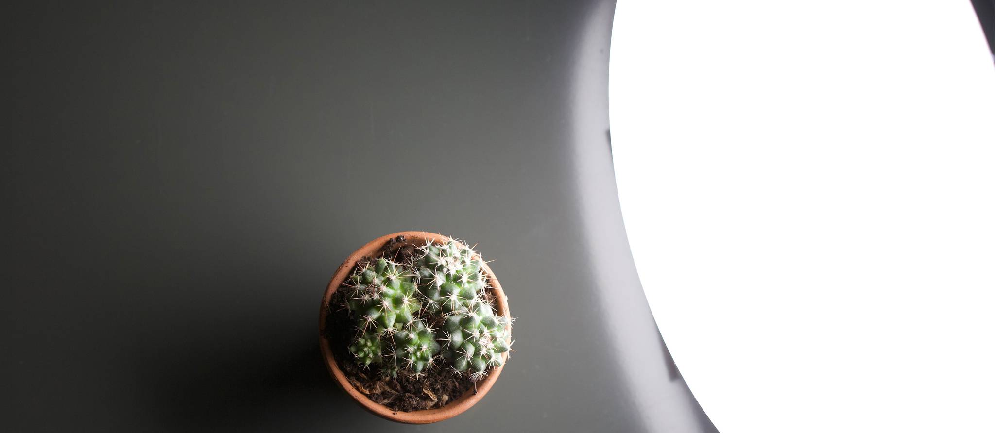 La luminothérapie, est-ce pour vous?