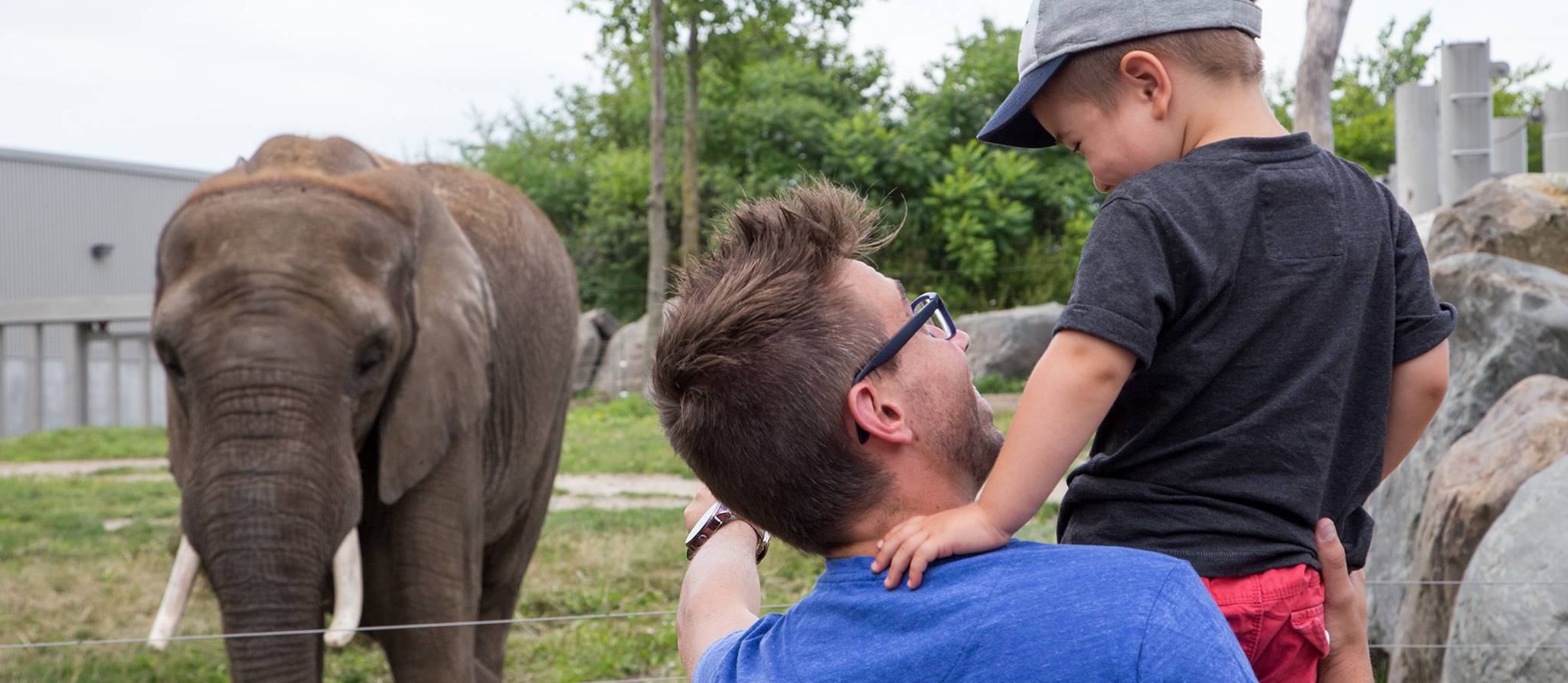 Comment choisir un zoo qui respecte les animaux ?