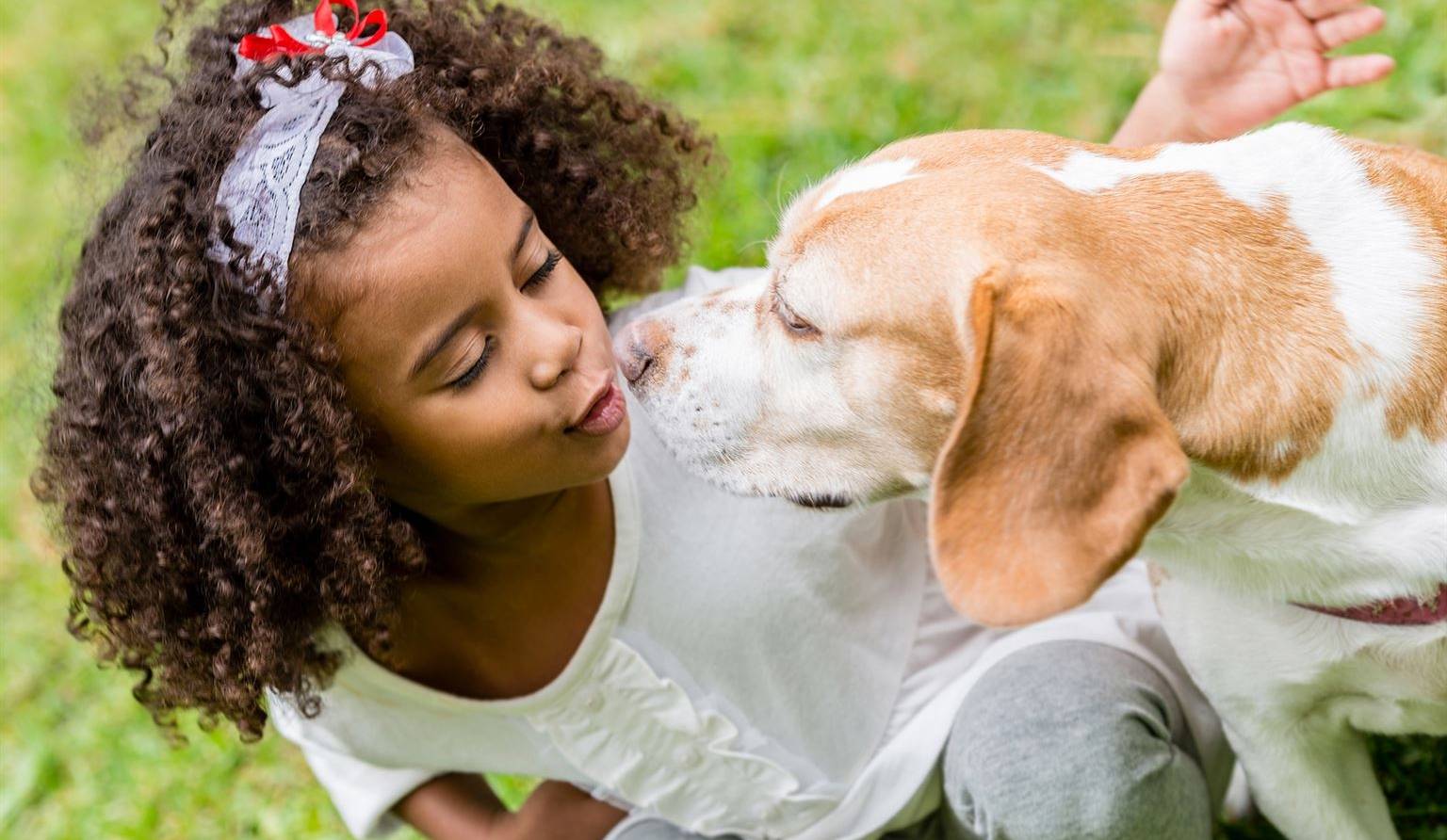 Votre animal peut vous rendre malade