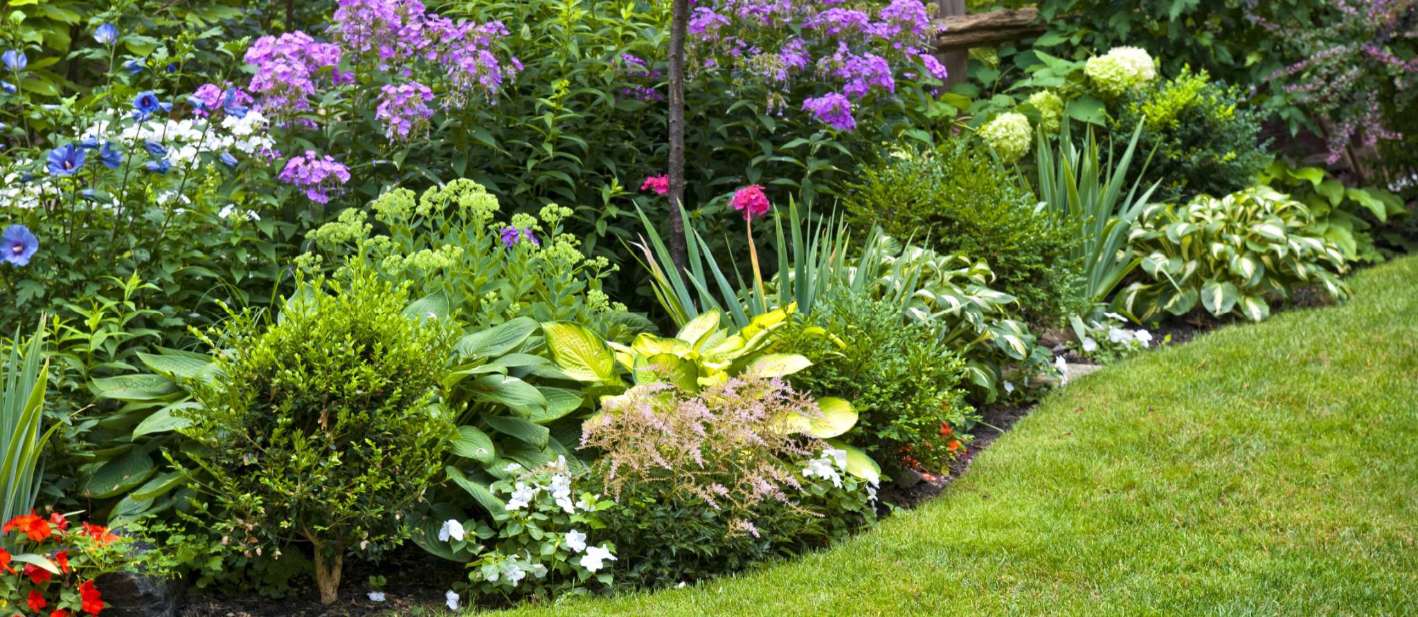 Comment entretenir vos plates-bandes
