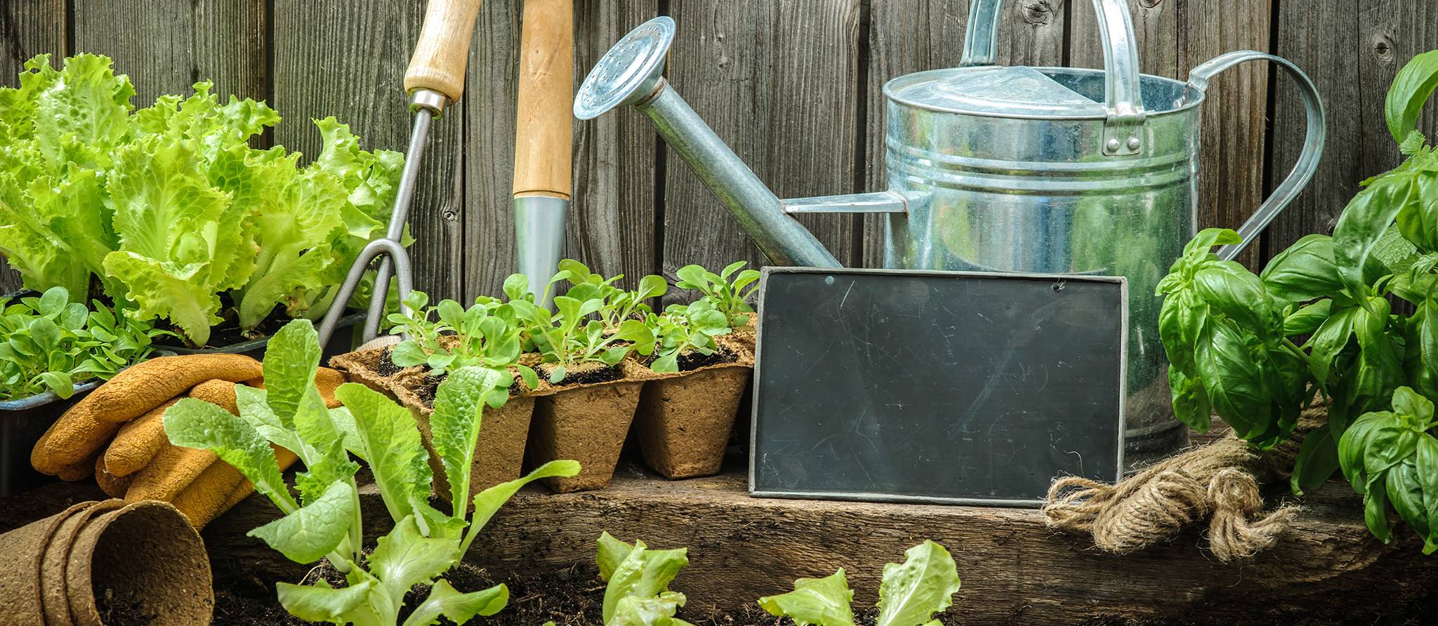 Comment aménager un jardin écologique?