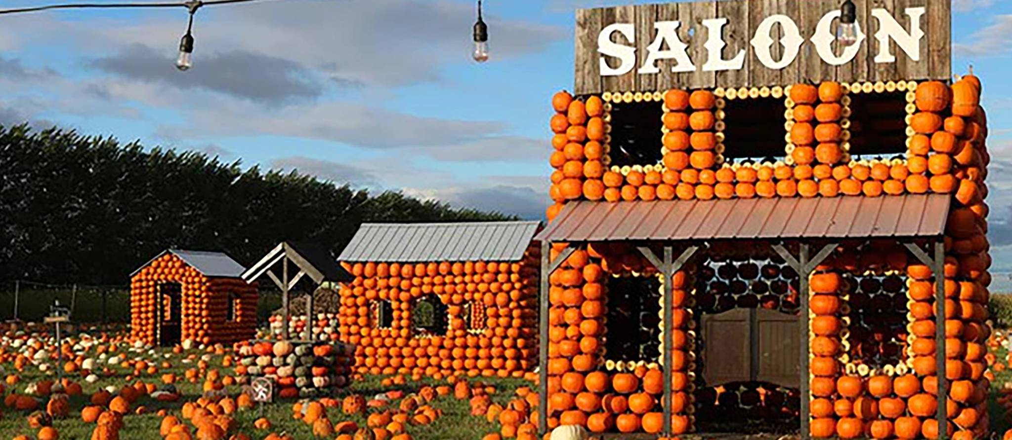 Halloween : 12 sorties amusantes ou effrayantes en famille