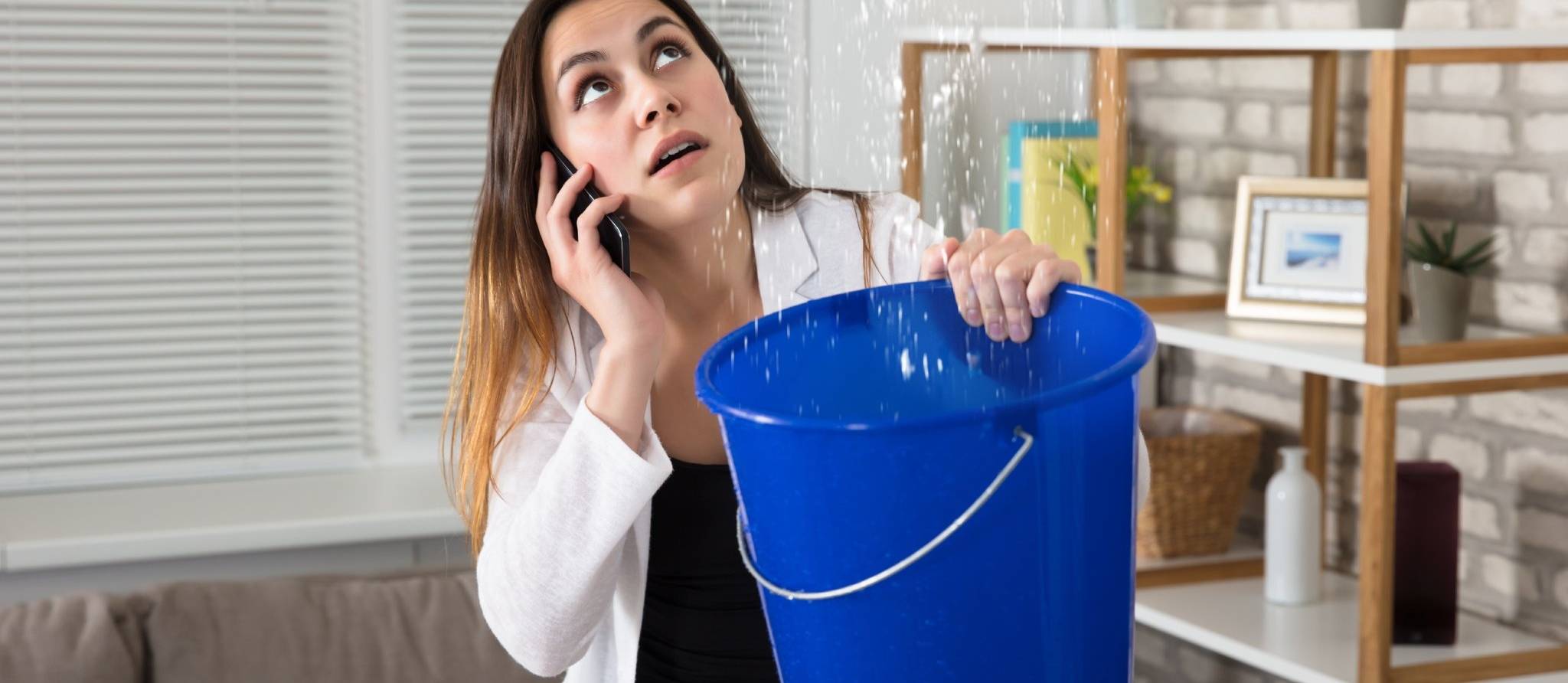 Locataires et propriétaires : quoi faire quand ça tourne mal?