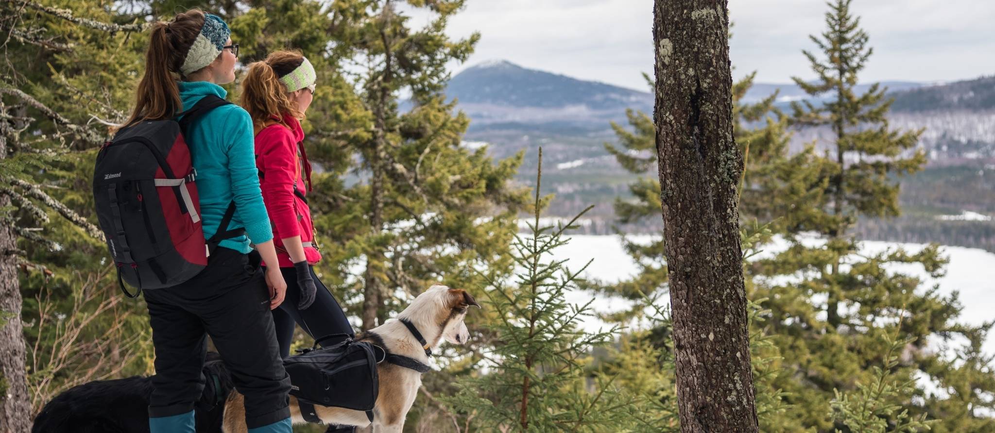 Visitez une trentaine de parcs régionaux gratuitement cet hiver