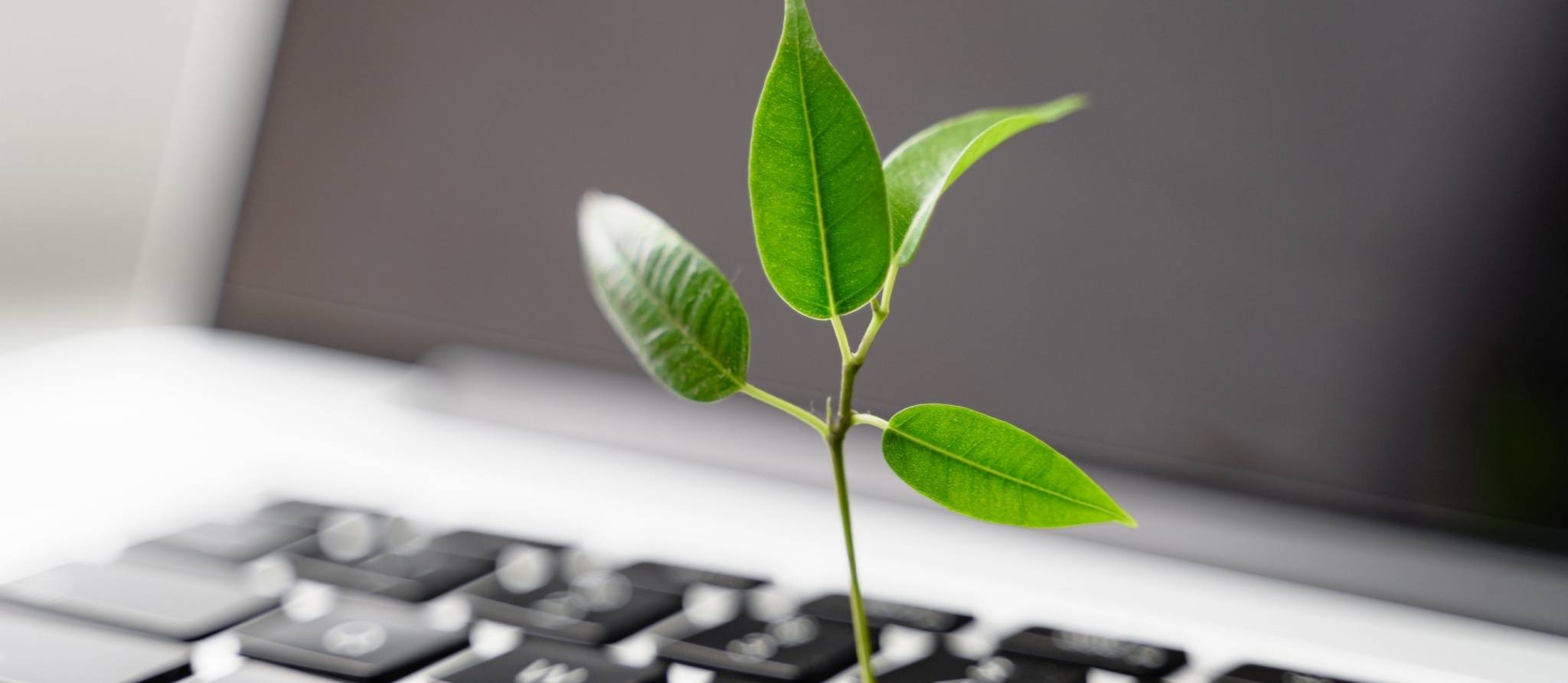 Comment limiter votre impact environnemental sur le Web