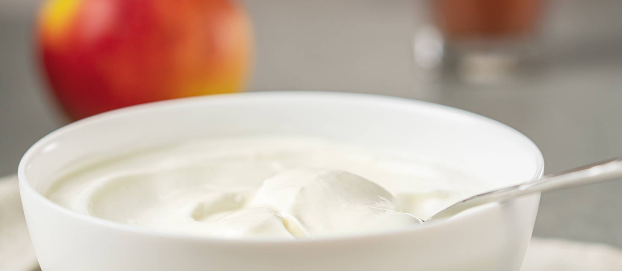 Quels sont les yogourts les plus sains?