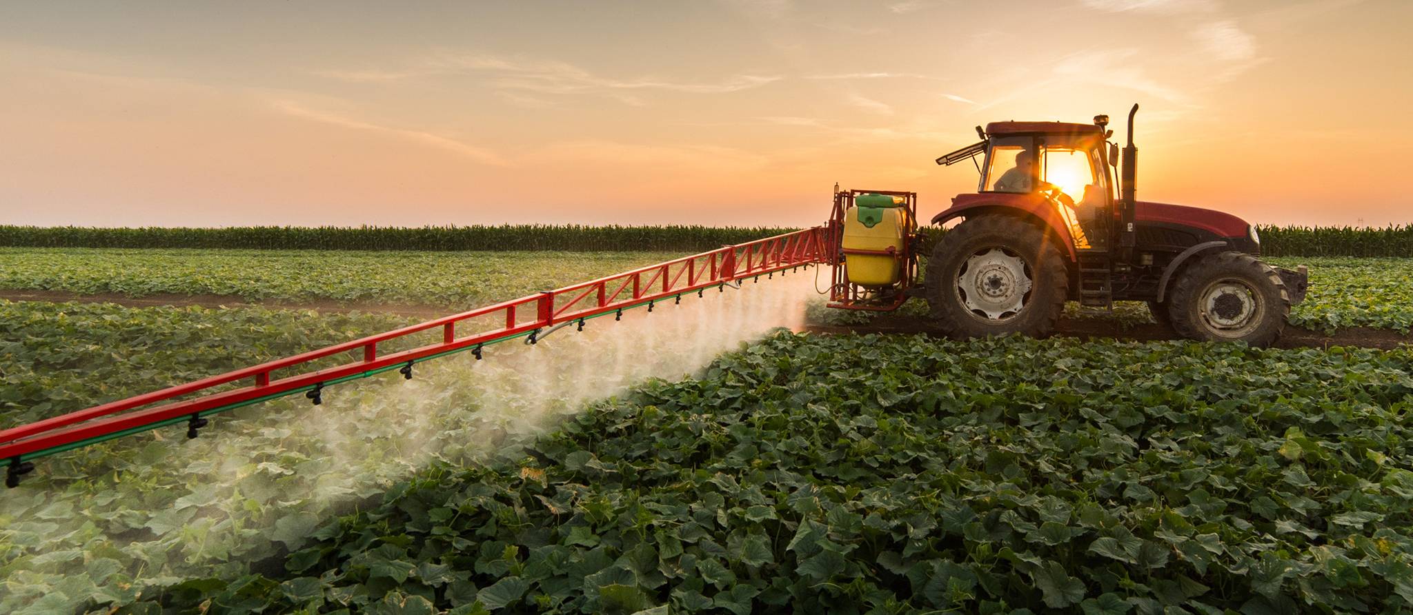 Pesticides : les agriculteurs premières victimes