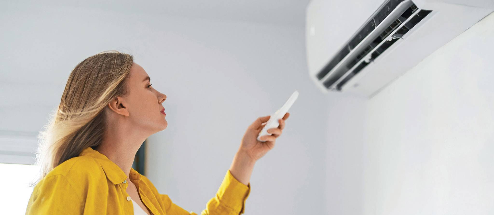 Thermopompes: comment elles fonctionnent, meilleures marques, subventions et conseils de magasinage