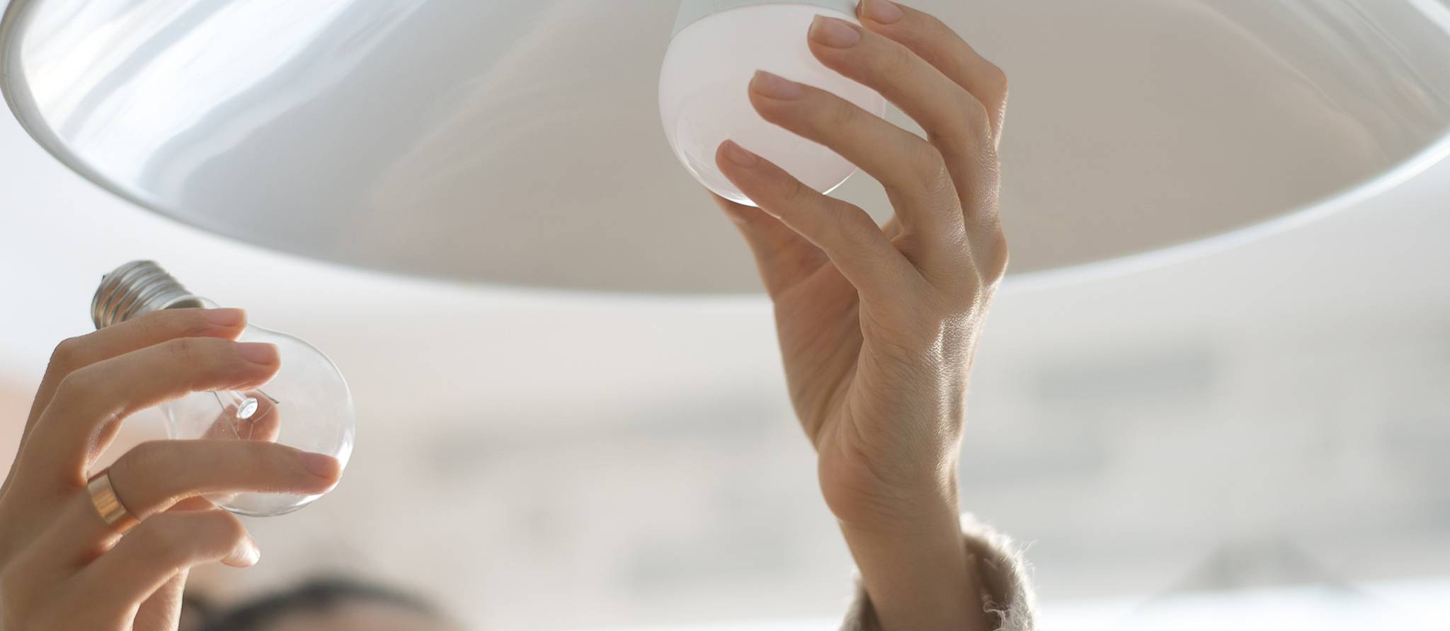 Choisir une ampoule écoénergétique : petit guide d'achat