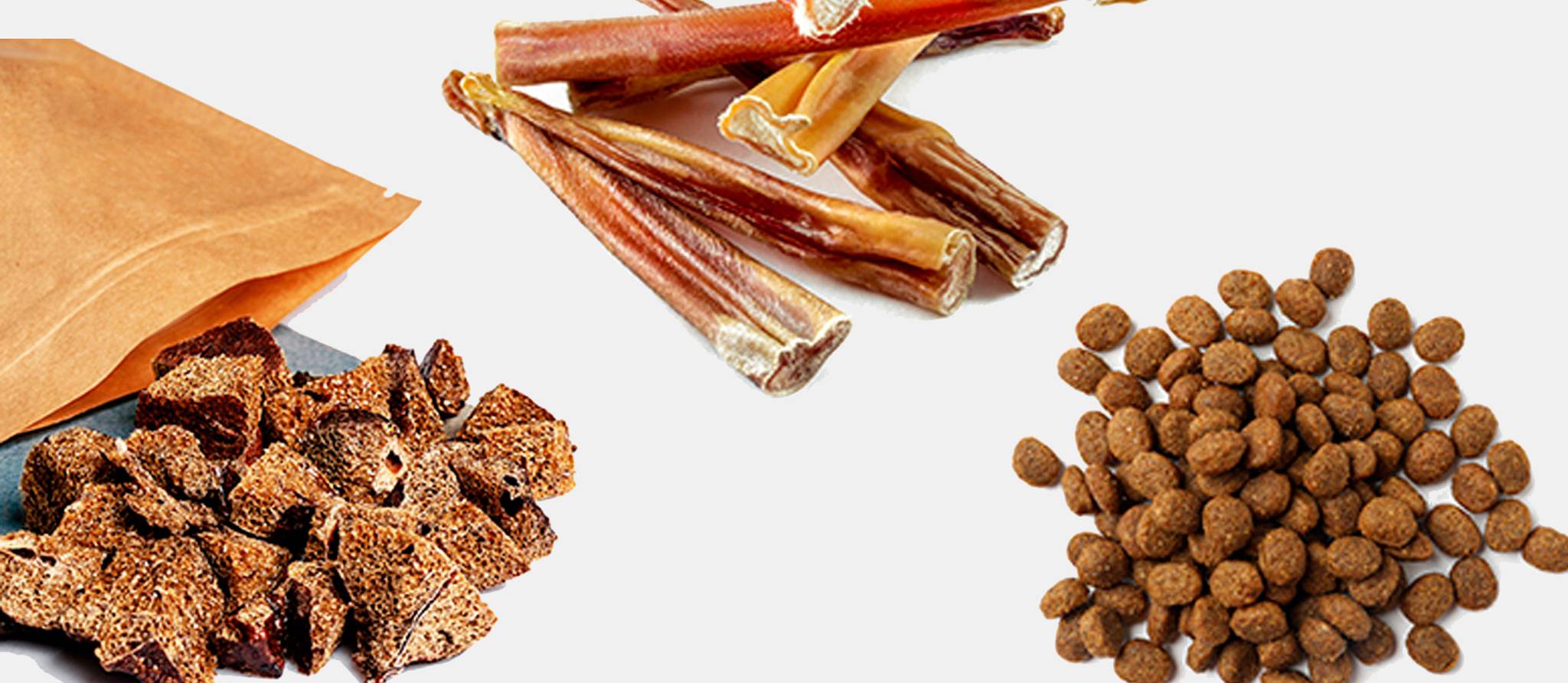 Rappel de gâteries pour chiens en raison d’un risque de contamination à la salmonelle