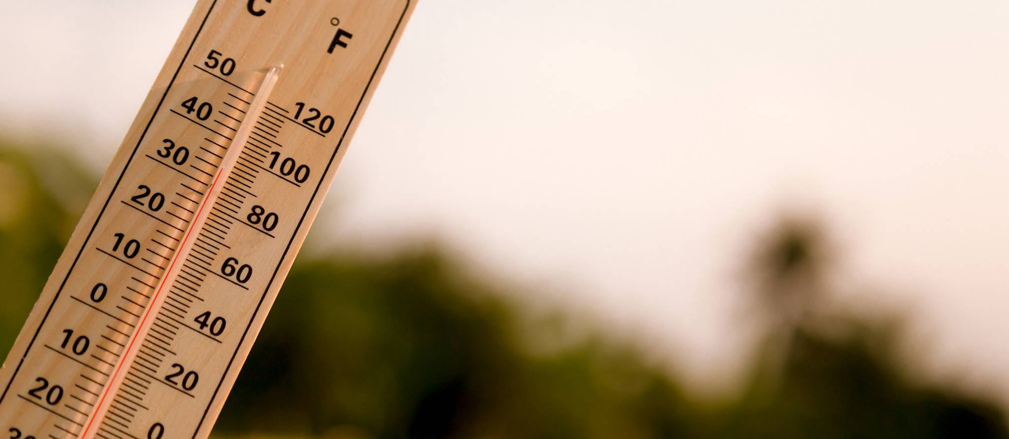 Santé et canicule : comment se protéger des grosses chaleurs?