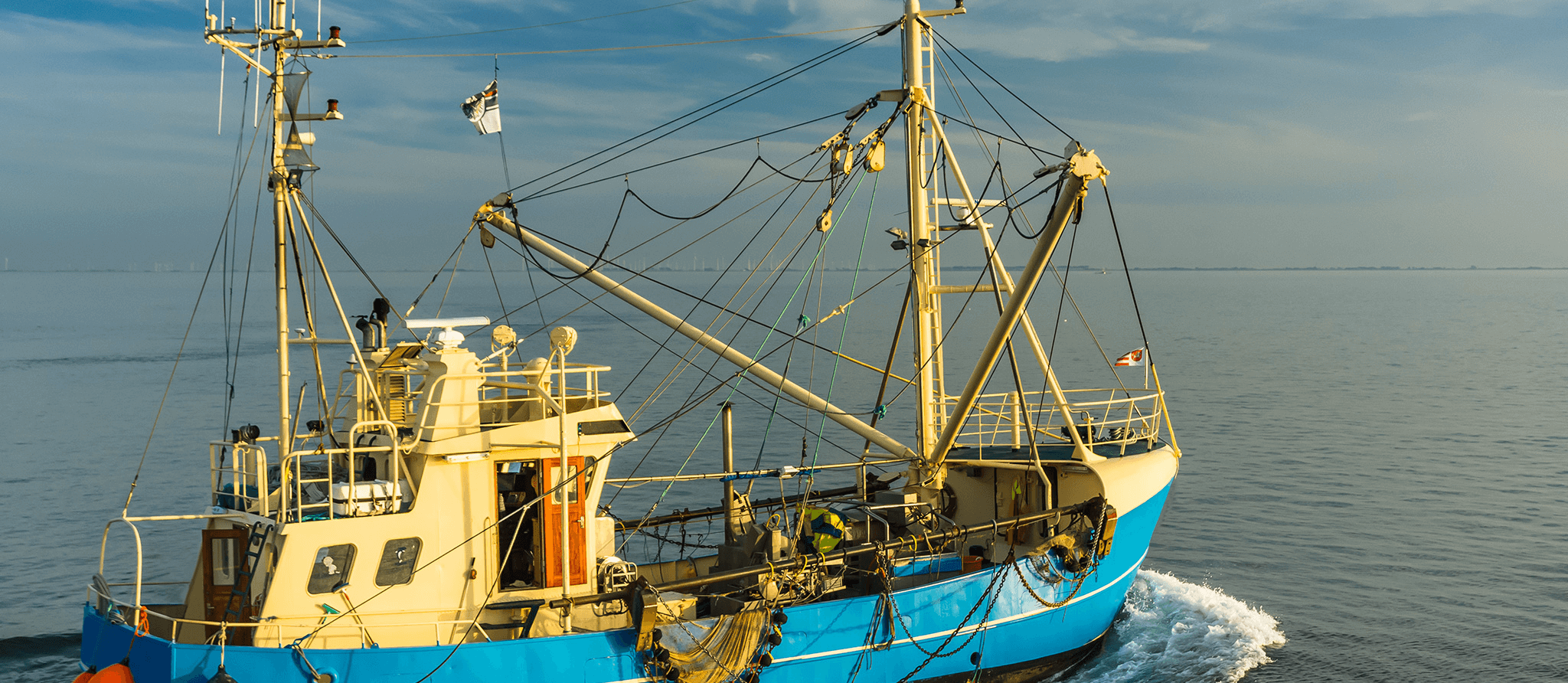 Produits de la mer: peut-on se fier aux certifications écoresponsables?