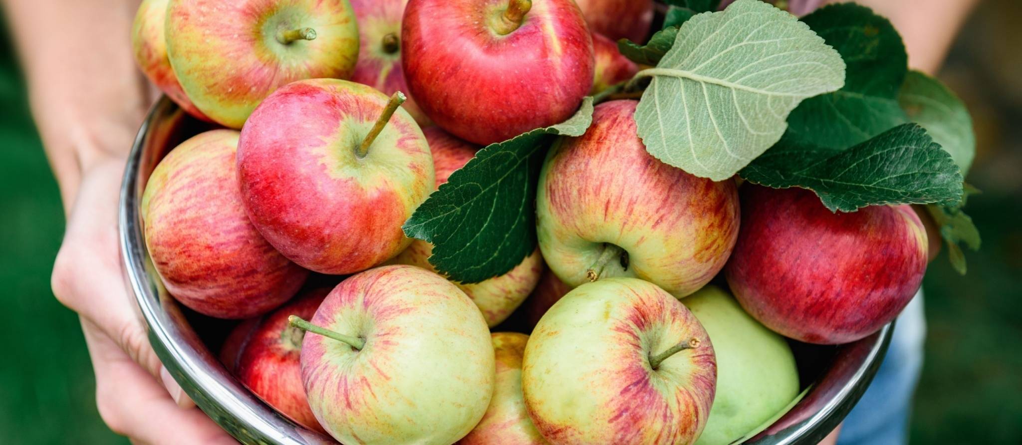 Glanage: comment obtenir des légumes gratuits