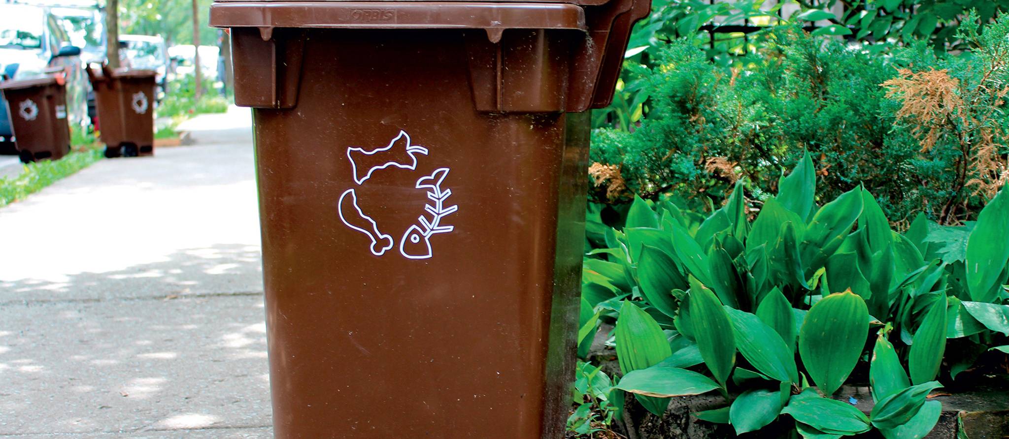 Composter comme un pro