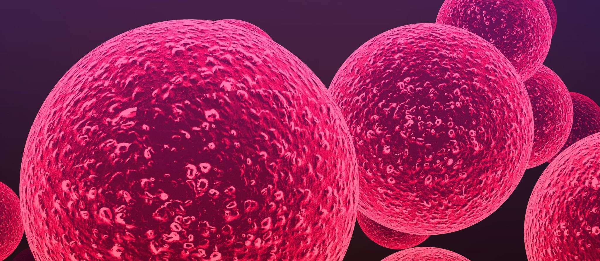 Quatre fois plus d’infections à la bactérie mangeuse de chair!