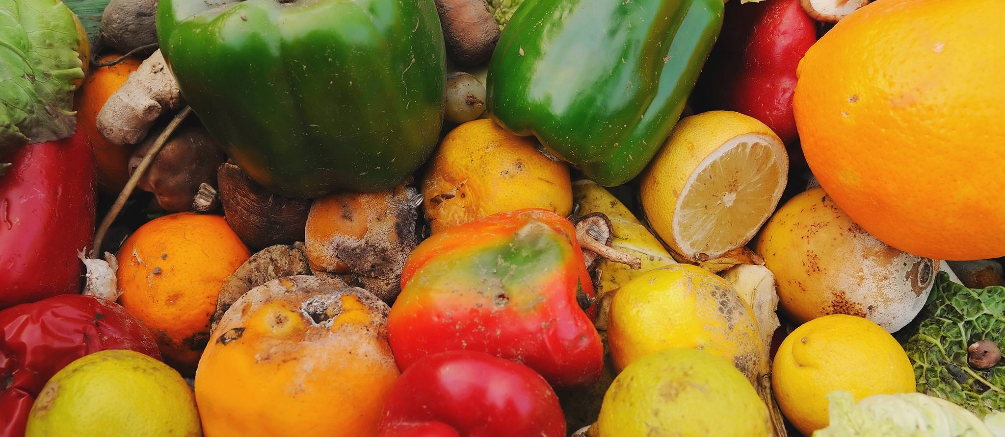 Gaspillage alimentaire: ce que cachent vos poubelles