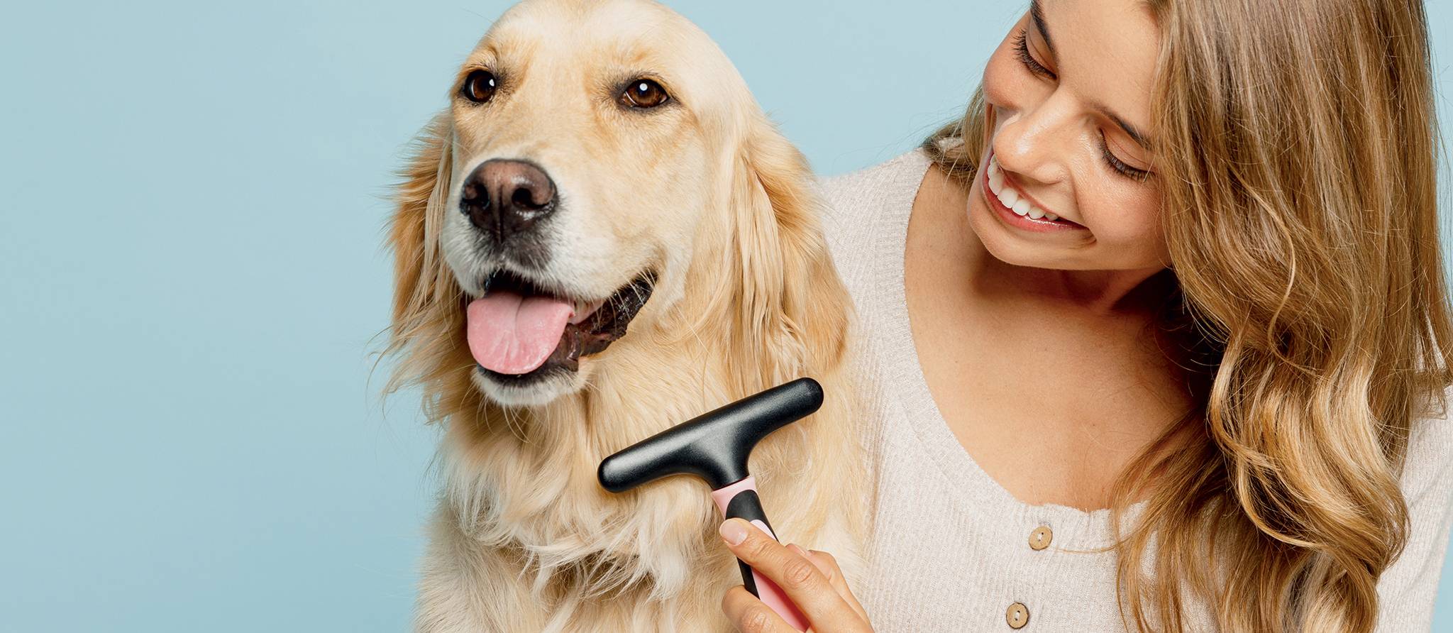 Comment toiletter votre chien à la maison
