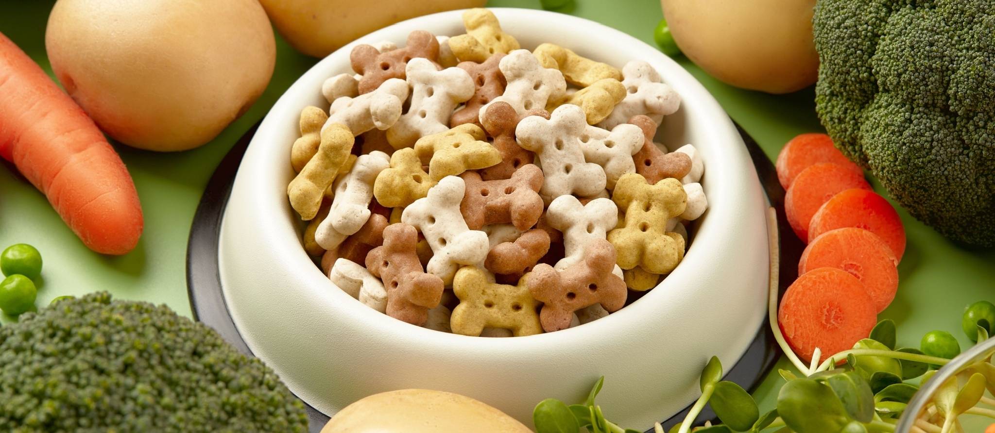 Que penser des nouvelles tendances alimentaires pour chiens?