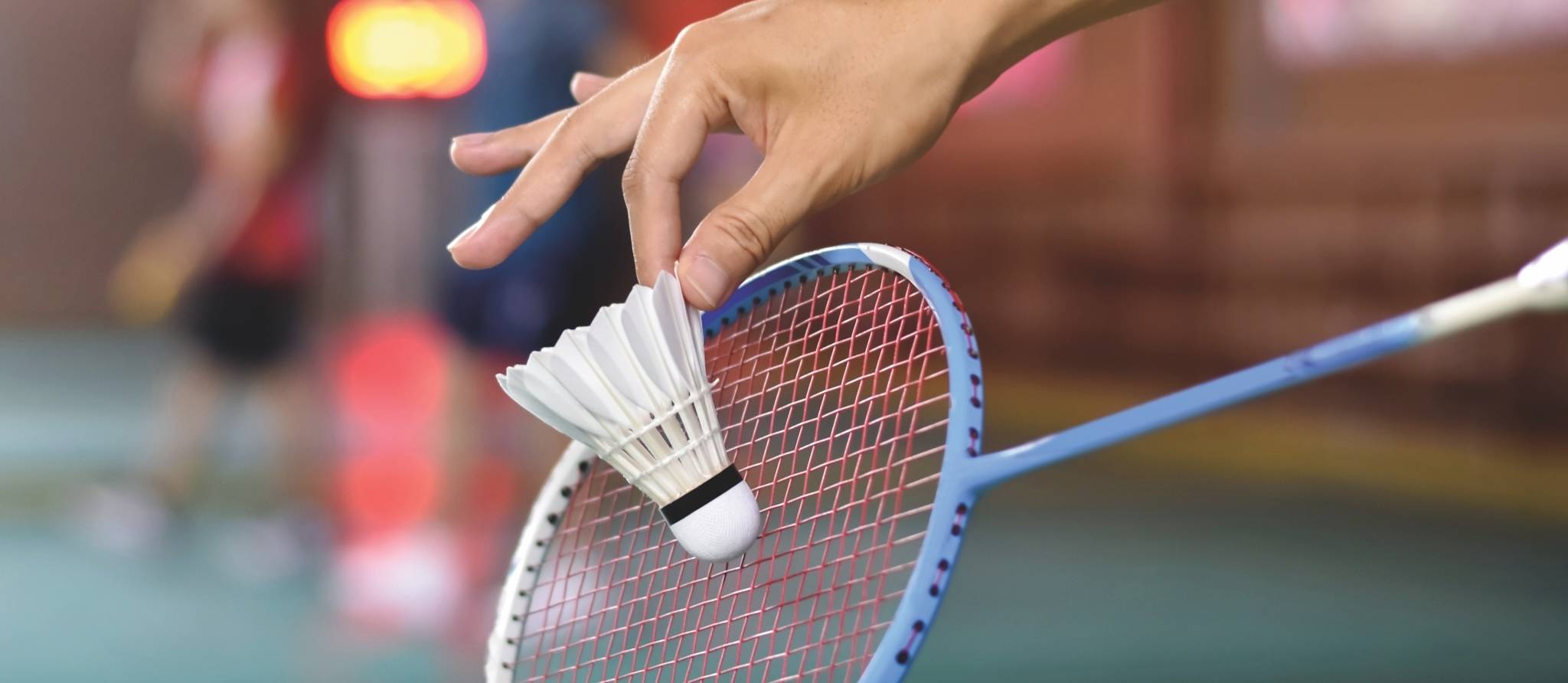 Des sports à découvrir au gymnase
