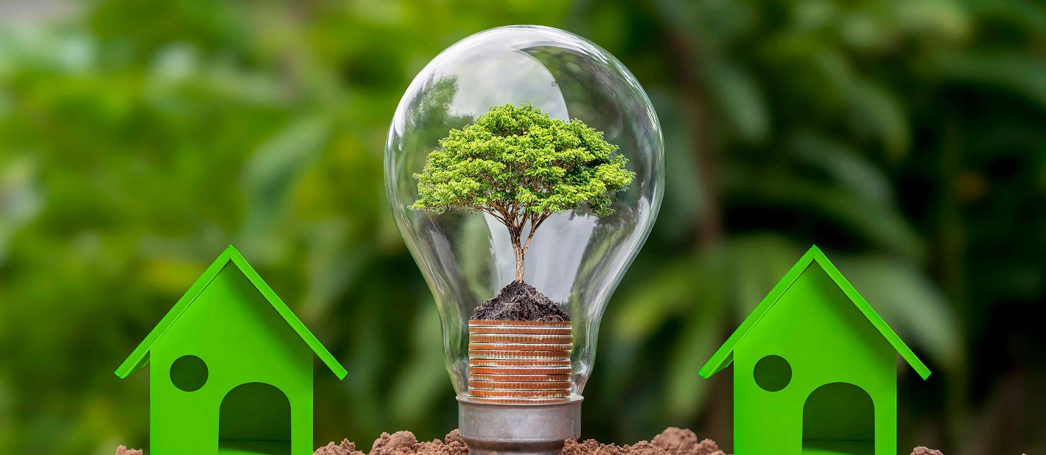 Des aides financières pour faciliter les rénovations écoénergétiques