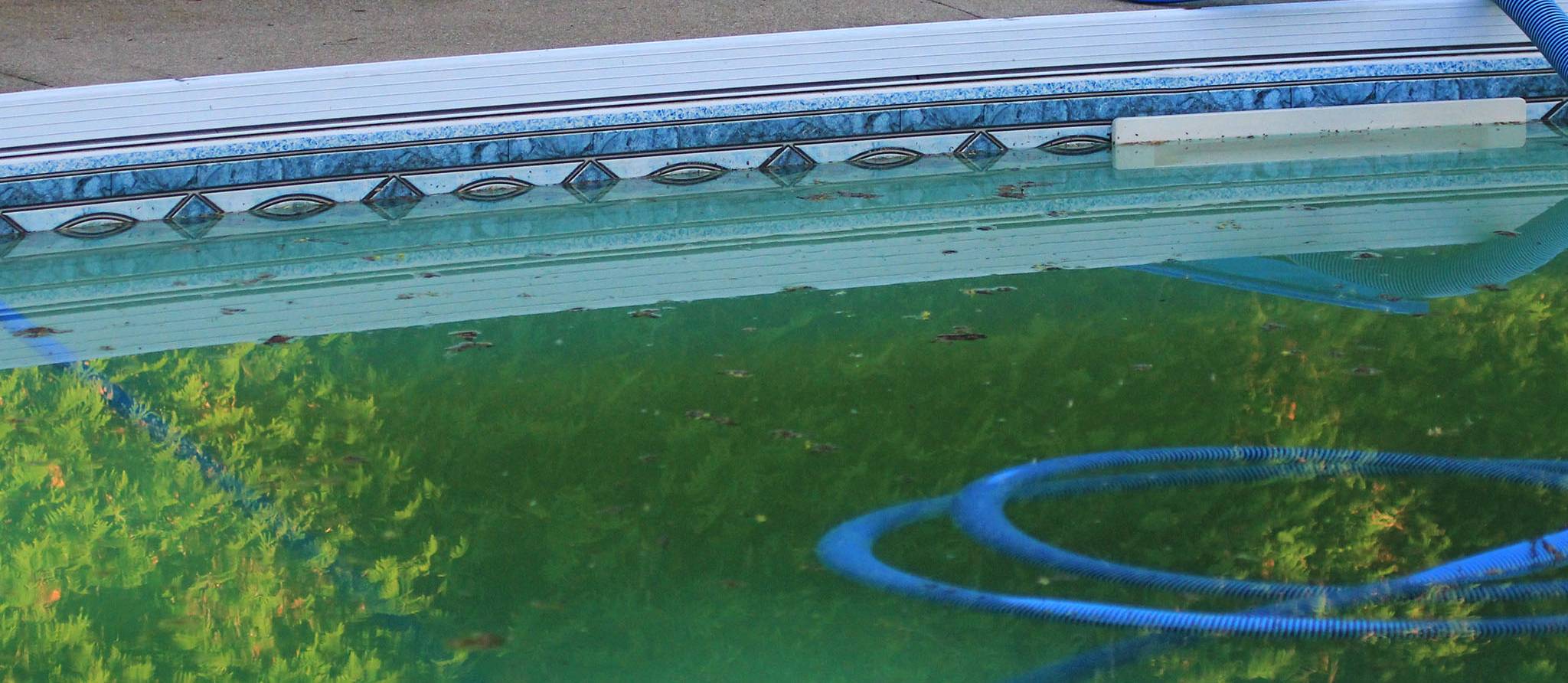 Comment ouvrir votre piscine au printemps
