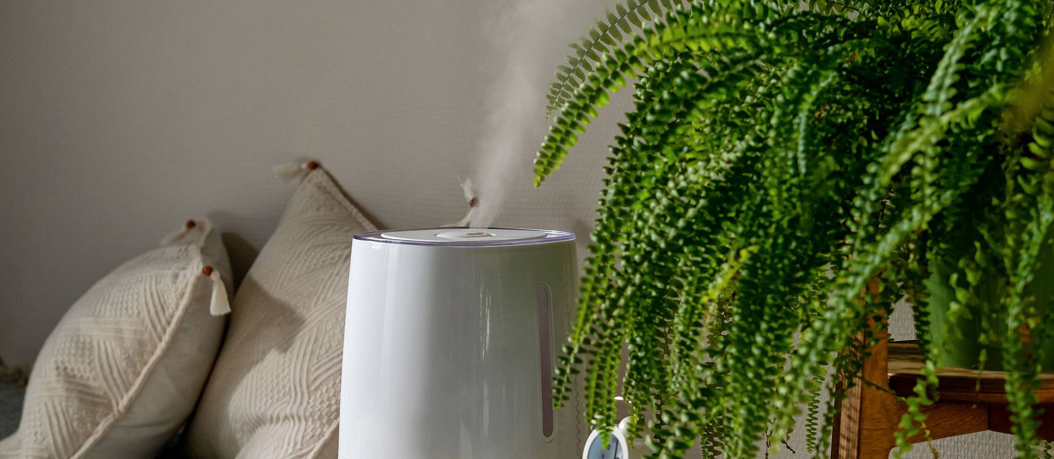 Comment choisir le meilleur humidificateur selon vos besoins