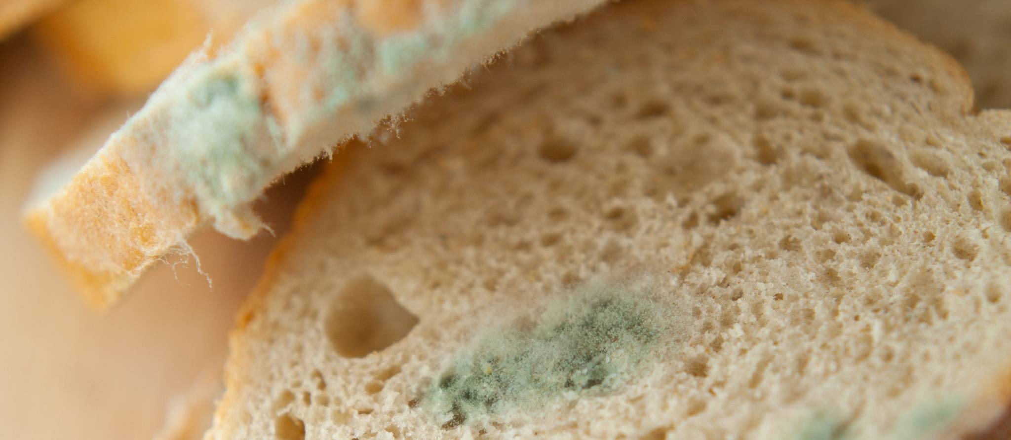 De la moisissure sur les aliments: quoi faire?