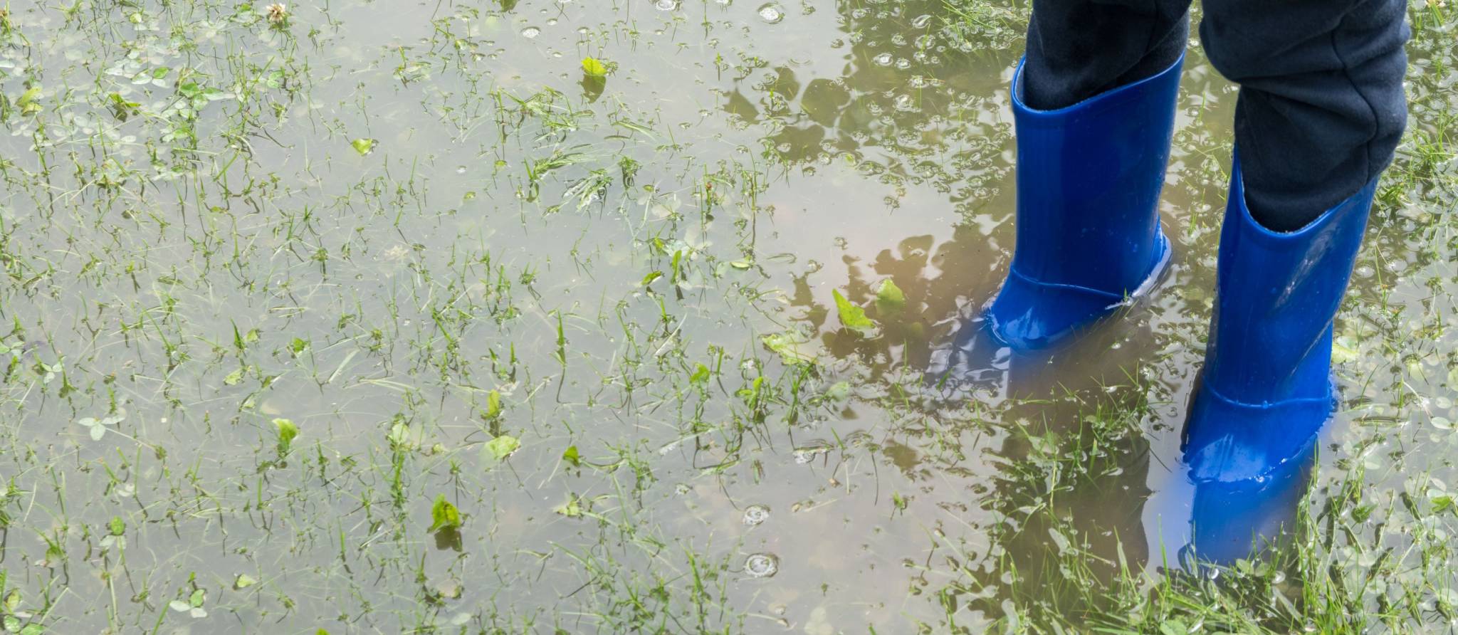 Cas vécu : infiltrations d’eau causées par une négligence de la Ville
