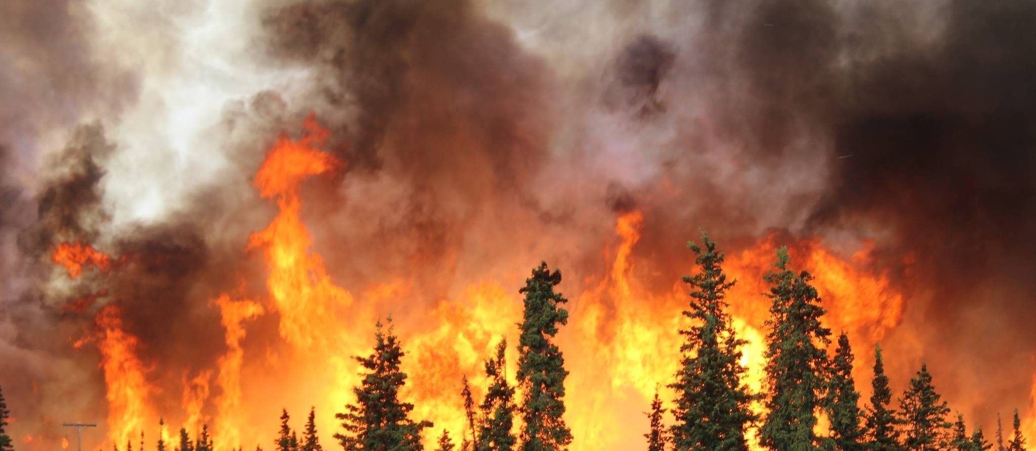Comment se rendre utile lors de situations d’urgence ?
