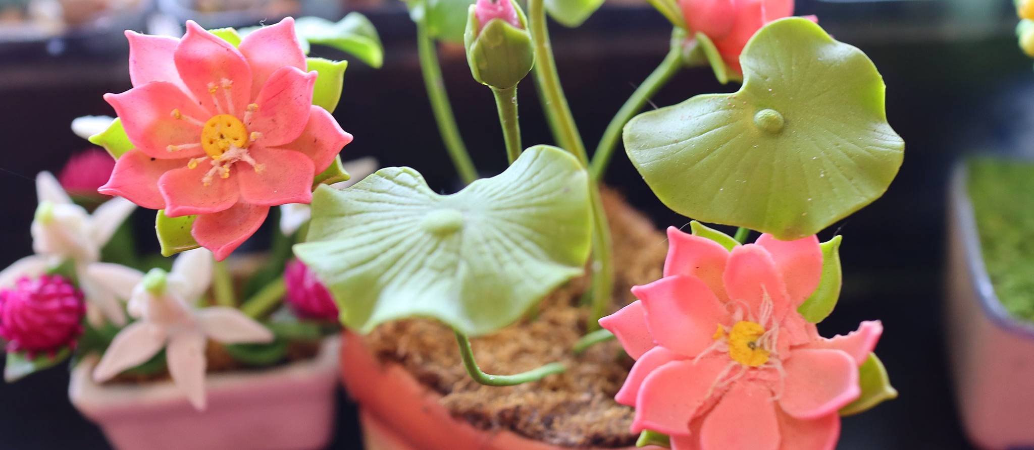 Attention aux photos de plantes créées par l’intelligence artificielle