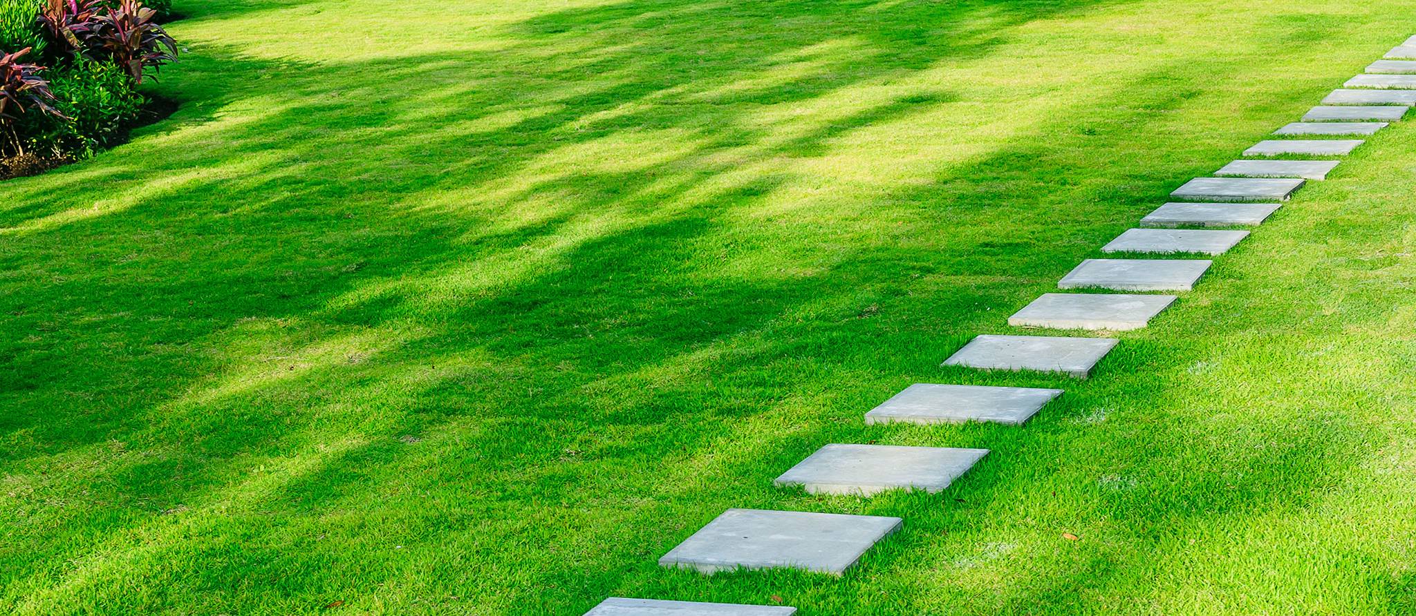 Entretenir la pelouse avec ou sans engrais et pesticide?