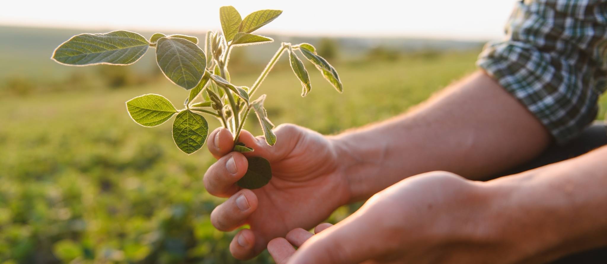 Que pensent les Québécois de la durabilité de leur agriculture ?