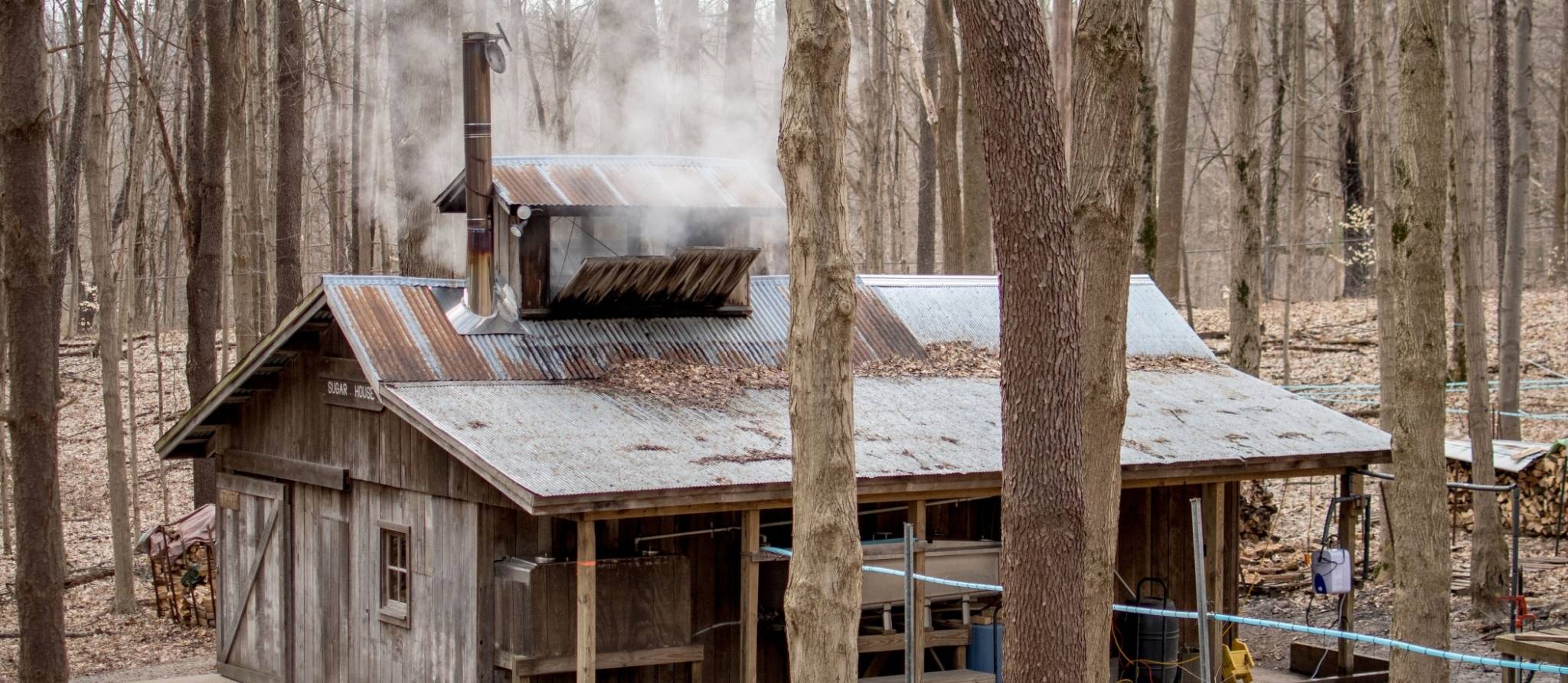 Moins de neige, mais toujours du sirop