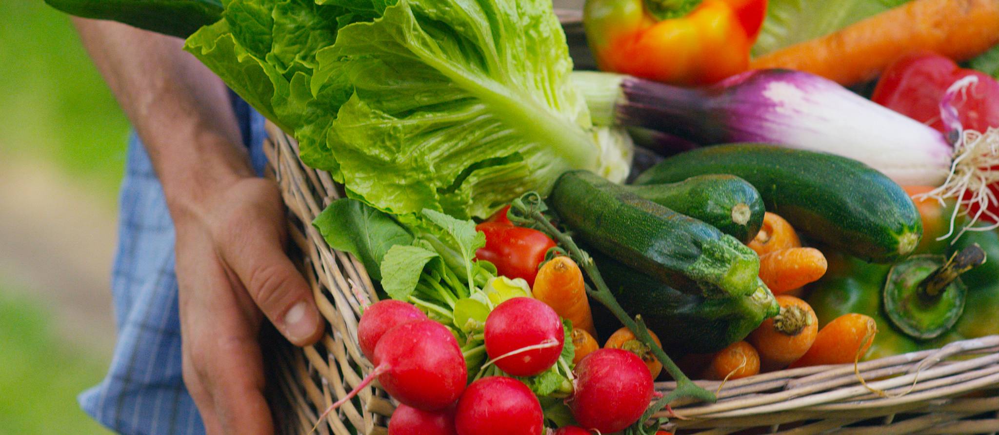 Paniers bio: l’offre explose et se diversifie