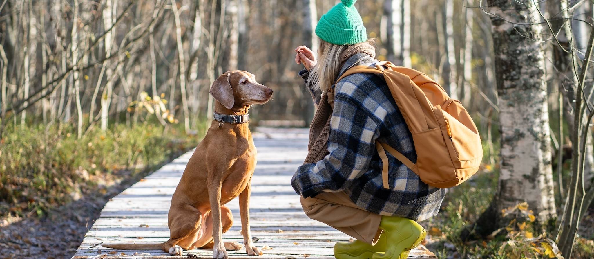 Comment choisir un éducateur canin ?