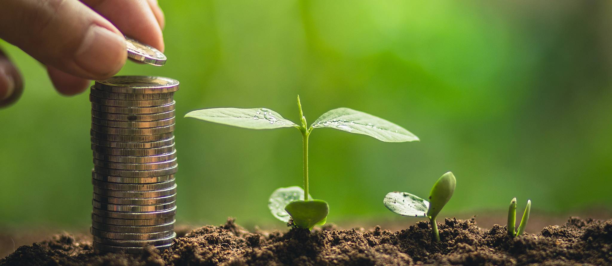 Investissement responsable : le classement des meilleurs fonds au Canada