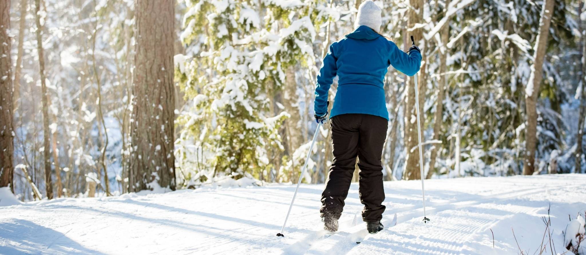 Visitez plusieurs parcs régionaux gratuitement cet hiver