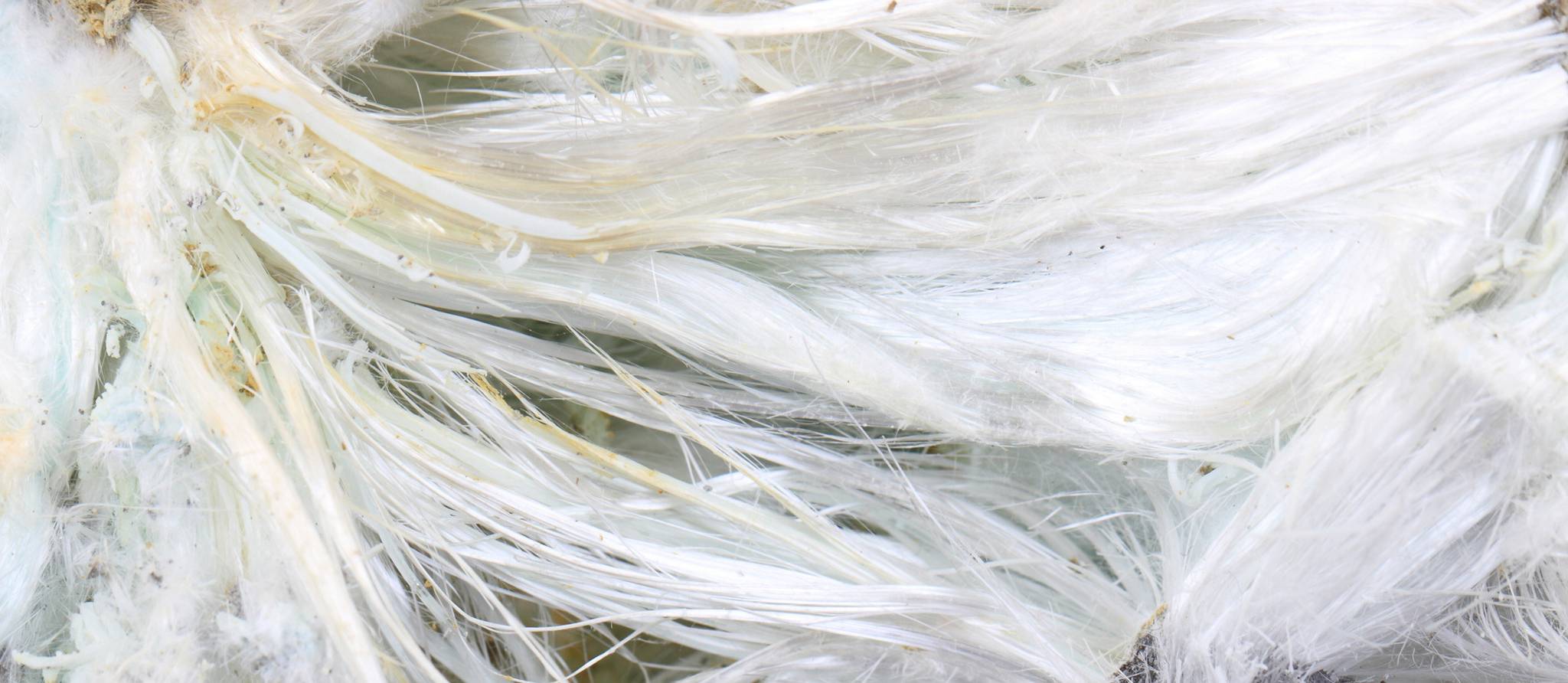 L'amiante chrysotile, matière dangereuse
