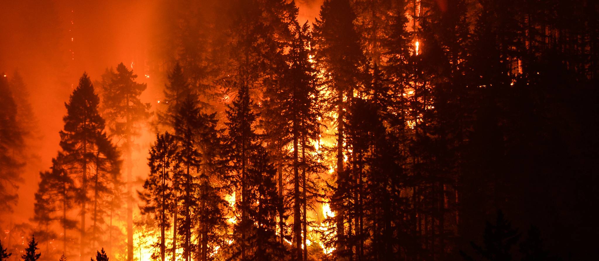 Feux de forêt : ce qu'il faut savoir