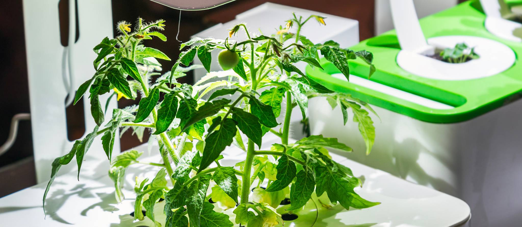 Comment choisir un bon jardin d’intérieur