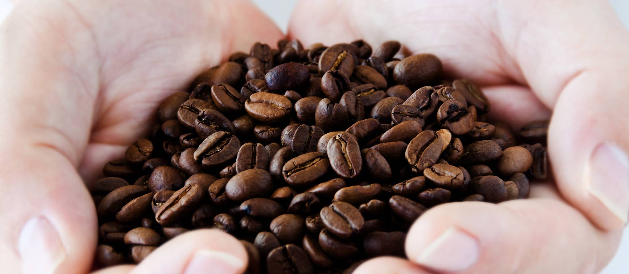 Comment choisir un café écoresponsable?