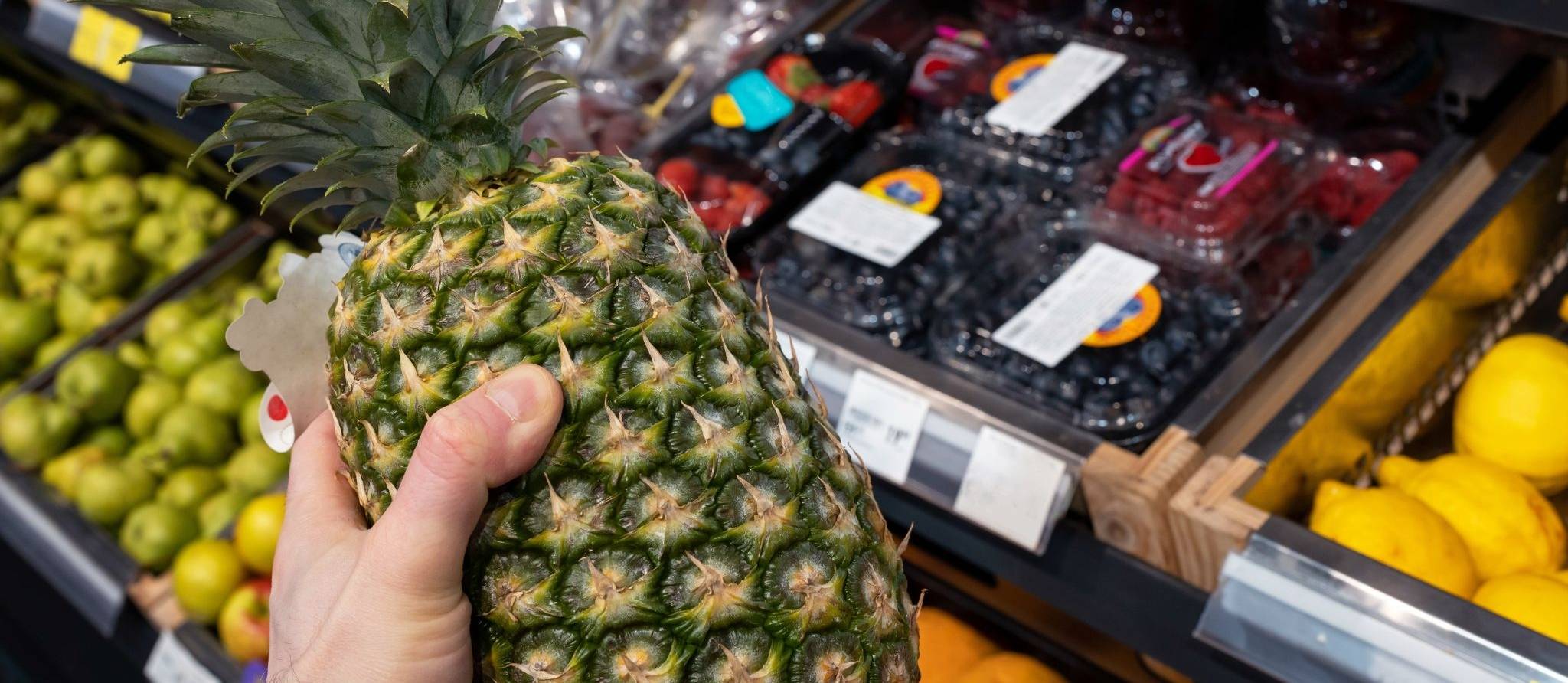 Une nouvelle plateforme québécoise vous paie pour photographier vos factures d’épicerie