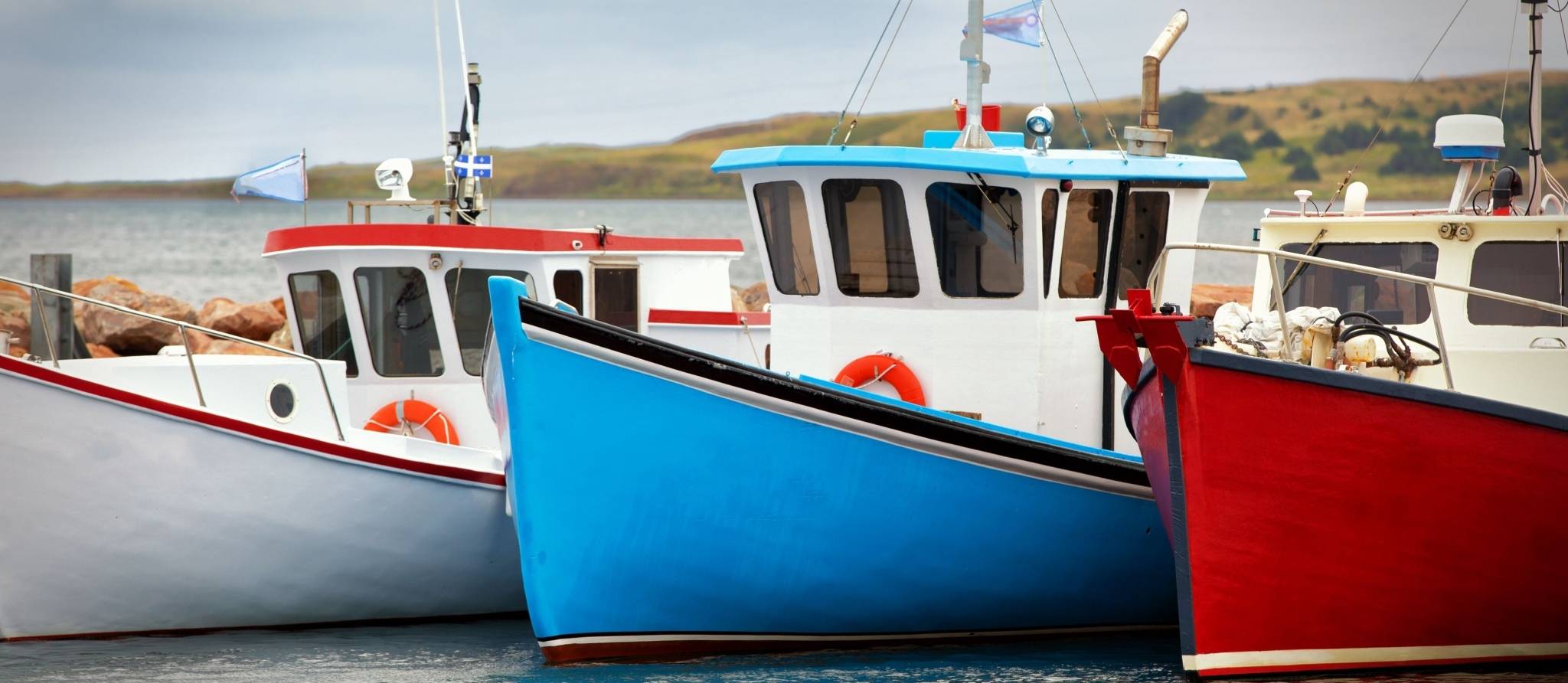 Où trouver les poissons et fruits de mer du Québec?